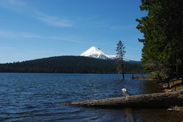 Lac Des Bois Oregon — Photo
