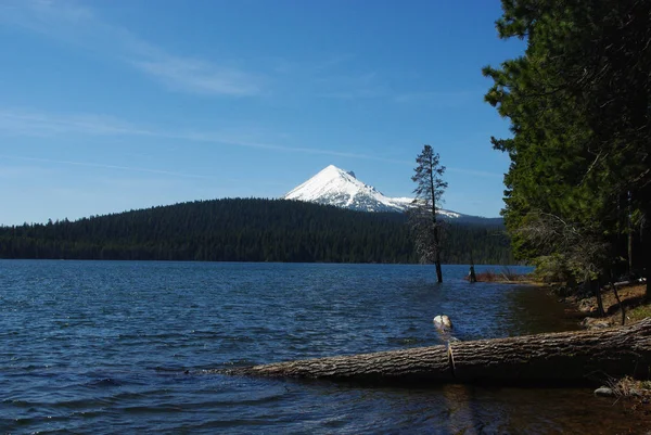 Lago Das Madeiras Orégão — Fotografia de Stock