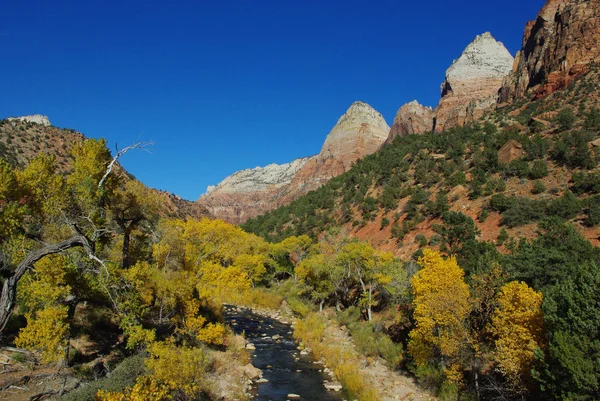 Zion Nationalpark Utah — Stockfoto