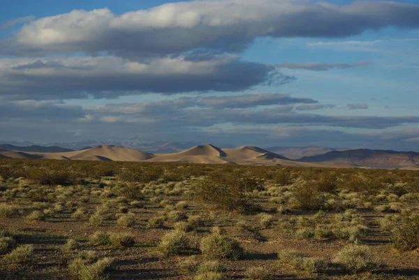 Grandi Dune Sud Beatty Nevada — Foto Stock