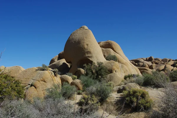 Crâne Rocher Joshua Tree Parc National Californie — Photo