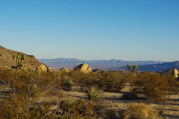 Скалы Вид Пустыню Национальный Парк Йошуа Калифорния — стоковое фото