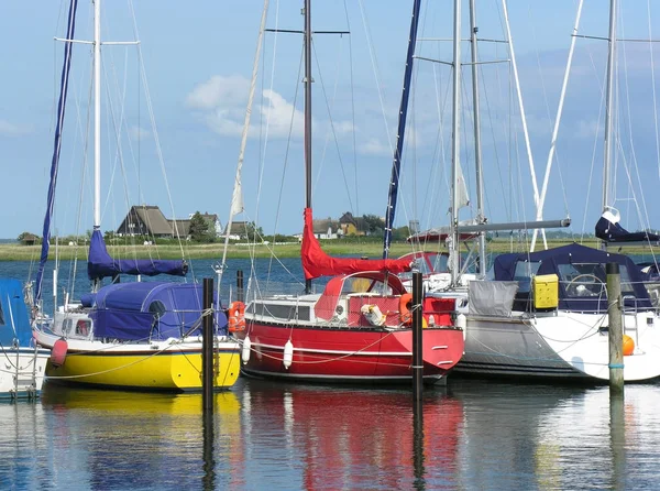 Scenic View Beautiful Harbor — Stock Photo, Image