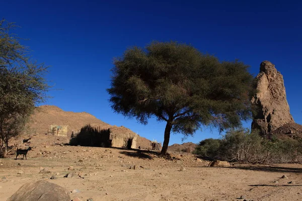 Die Hoggargebirige Sahara — Stockfoto