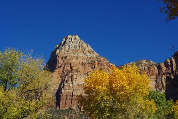 Zion National Park Utah United States — стоковое фото