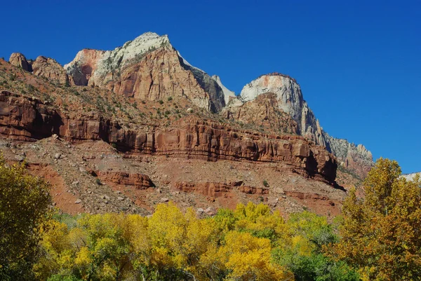 Herbstfarben Zion Nationalpark Utah — Stockfoto