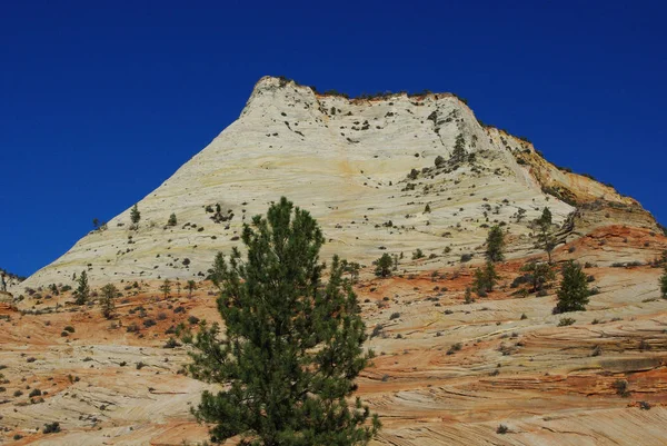 Trees Colored Mountain Deep Blue Sky Zion National Park Utah — Stock Photo, Image