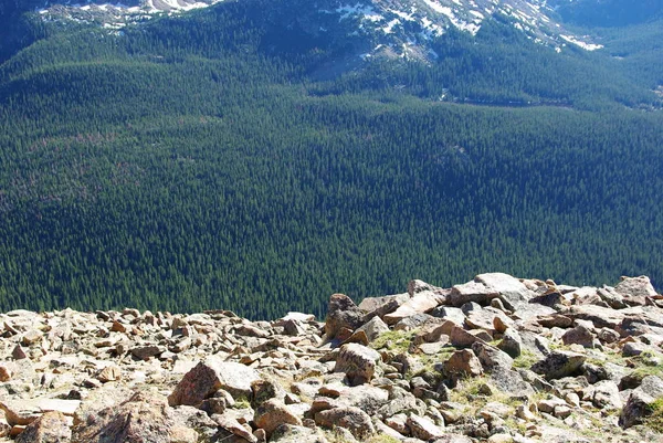 Skok Głąb Skalisty Górski Park Narodowy Colorado — Zdjęcie stockowe