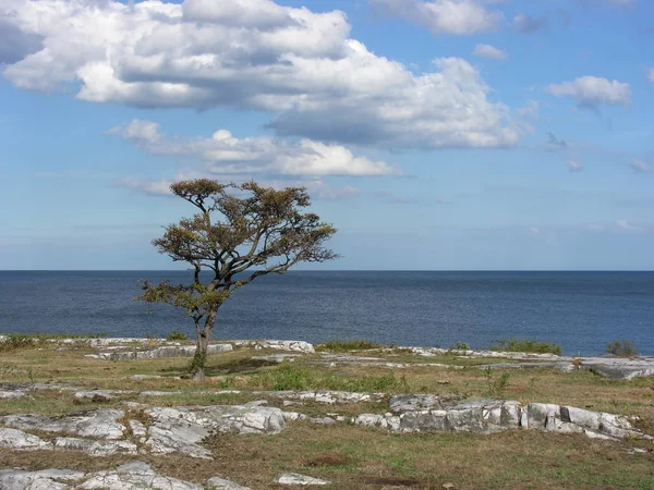 Landschappen Scandinavië Noord Europa — Stockfoto