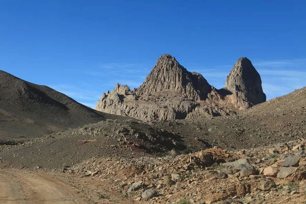 Svinpråmen Saharan — Stockfoto