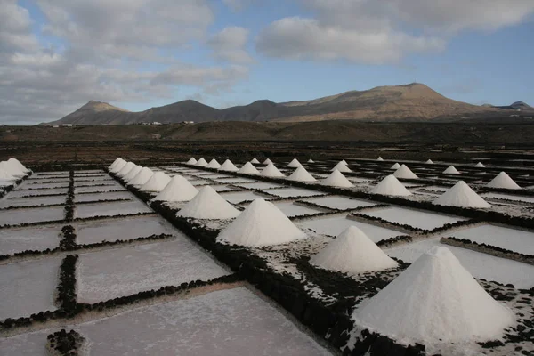 Salinas Janubio Lanzarote — 스톡 사진