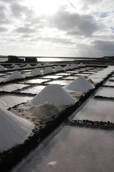 Salinas Janubio Breezarote – stockfoto