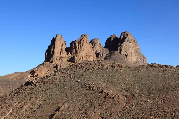 Svinpråmen Saharan — Stockfoto