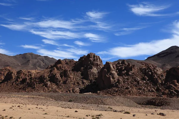 Svinpråmen Saharan — Stockfoto