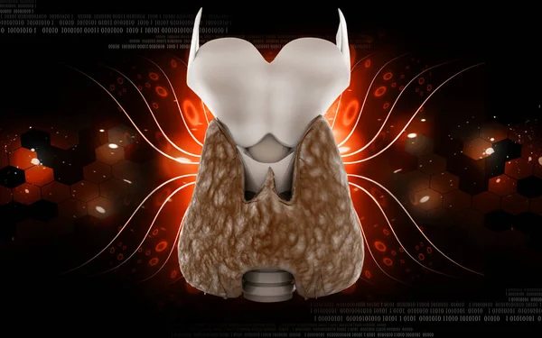 Цифровая Иллюстрация Щитовидной Железы Цвете Фона — стоковое фото