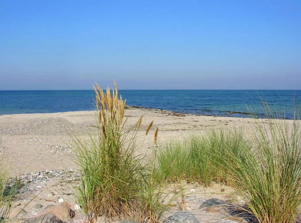 Côte Baltique Sur Île — Photo