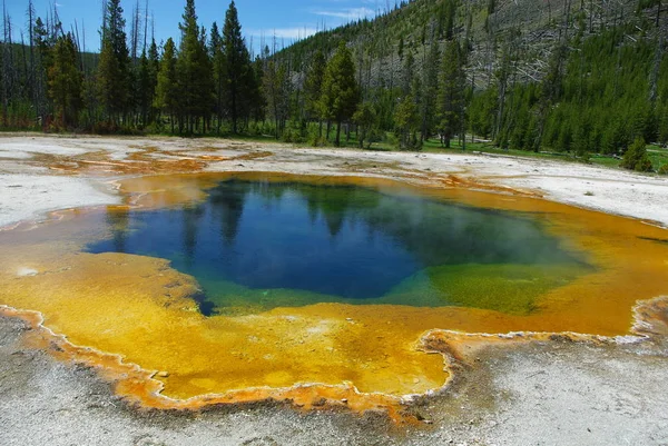 Piscina Caliente Color Parque Nacional Yellowstone Wyoming — Foto de Stock