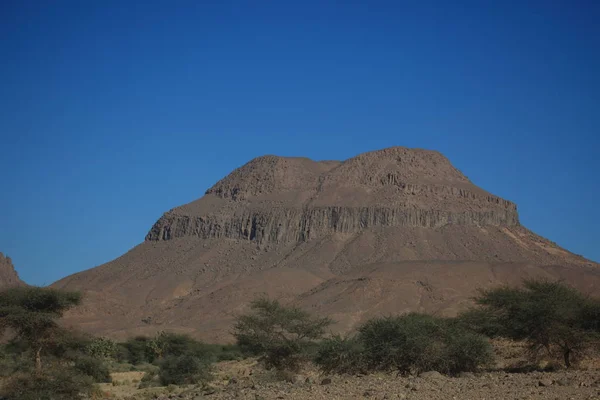 Naturskön Utsikt Över Saharaöknen — Stockfoto