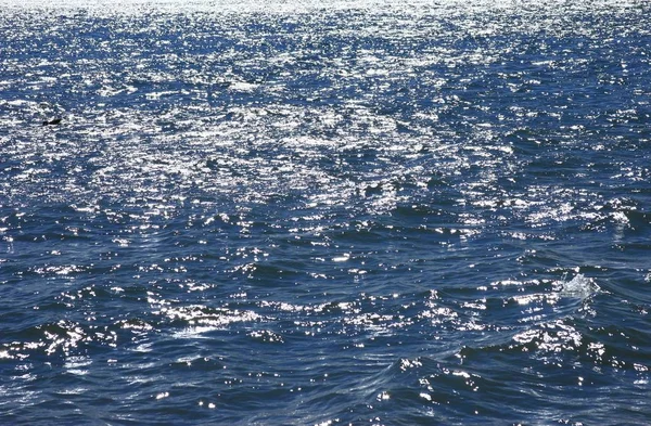 Yüzeyi Sıvı Arkaplan — Stok fotoğraf