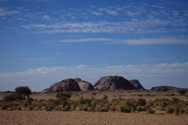 Malerischer Blick Auf Die Natur — Stockfoto