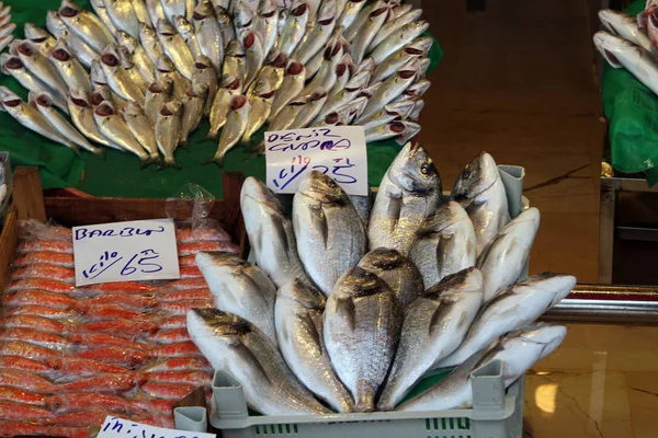 Alimento Mar Mercado Peixes — Fotografia de Stock