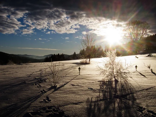在晨光中冬季风景 — 图库照片