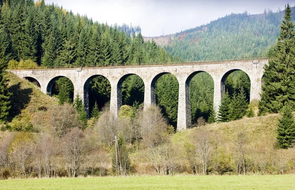 Viaduto Ferroviário Perto Telgart Eslováquia — Fotografia de Stock