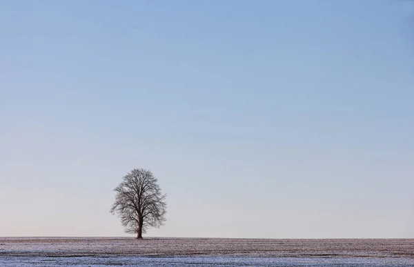 Vedere Frumoasă Peisajului Iarnă — Fotografie, imagine de stoc