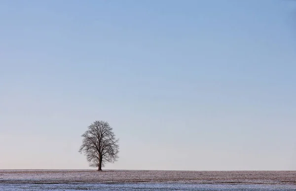 Beautiful View Winter Landscape — Stock Photo, Image