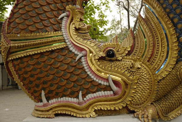 Naga Wat Tao Chiang Mai Thailand — Stok Foto