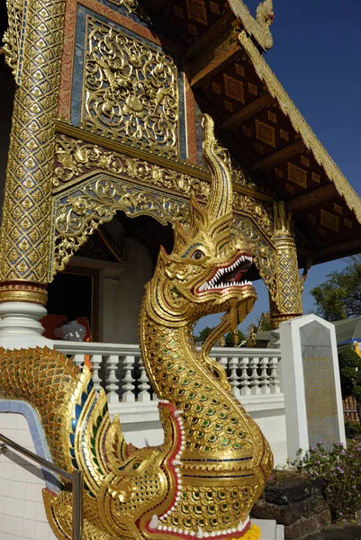 Naga Wat Phra Singh Chiang Mai Ταϊλάνδη — Φωτογραφία Αρχείου