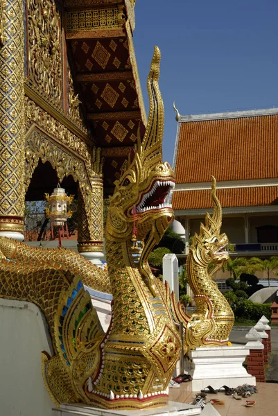 Naga Wat Phra Singh Chiang Mai Thailandia — Foto Stock