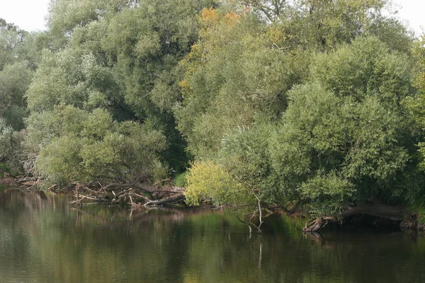 Rzeka Późnym Latem — Zdjęcie stockowe