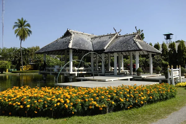 Buak Hård Park Chiang Mai Thailand — Stockfoto