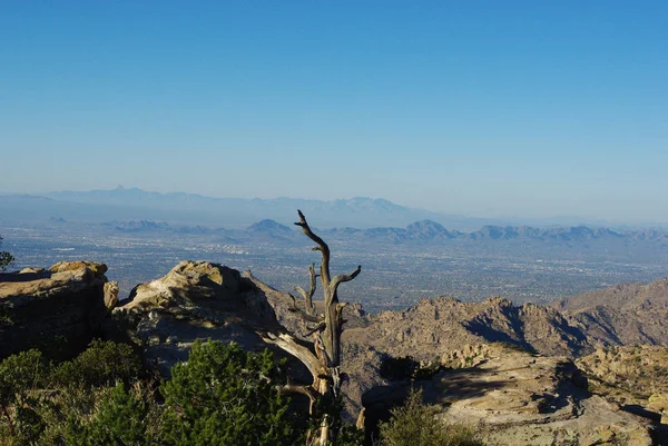 Vue Tucson Des Chaînes Montagnes Éloignées Désert Mont Lemmon Arizona — Photo