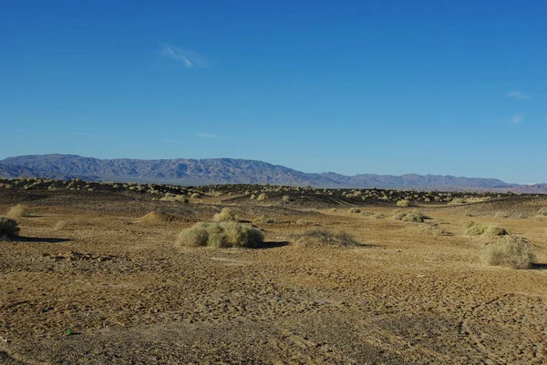 カリフォルニア州テクトパ温泉の近くの砂漠は — ストック写真