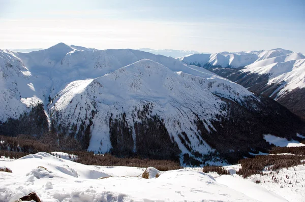 Tatra Winter Winterlandschaft Gebirge — Stockfoto