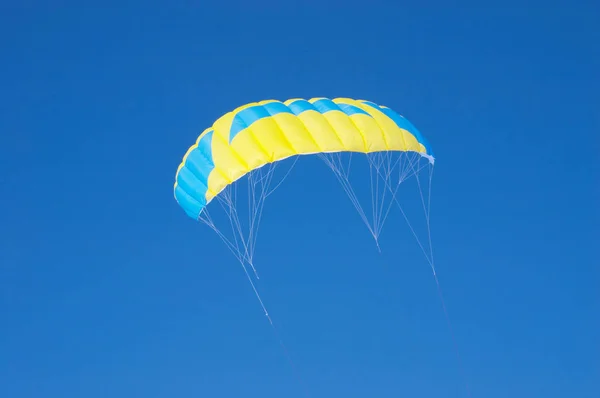 Papagaio Voando Céu — Fotografia de Stock