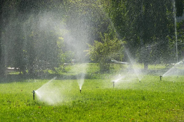 Campo Grama Irrigação Parque Astana Cazaquistão — Fotografia de Stock