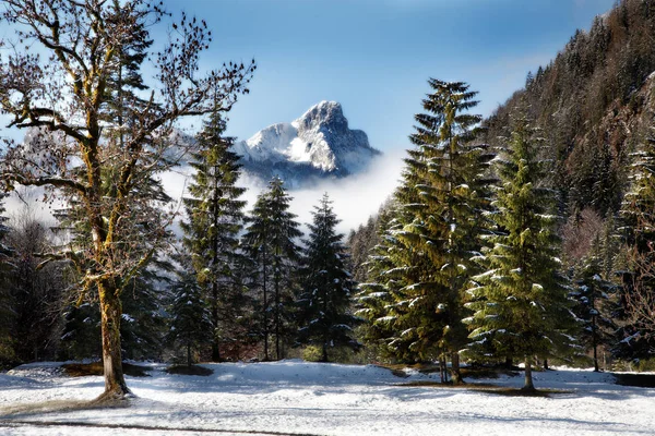 Hermosa Vista Del Paisaje Invierno — Foto de Stock