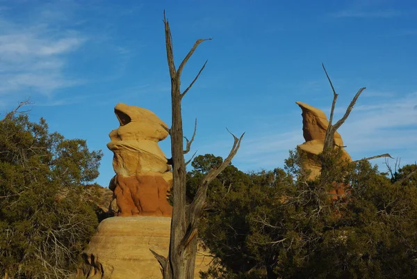 Neugierige Steine Zum Trocknen Von Bäumen Teufelsgarten Utah — Stockfoto