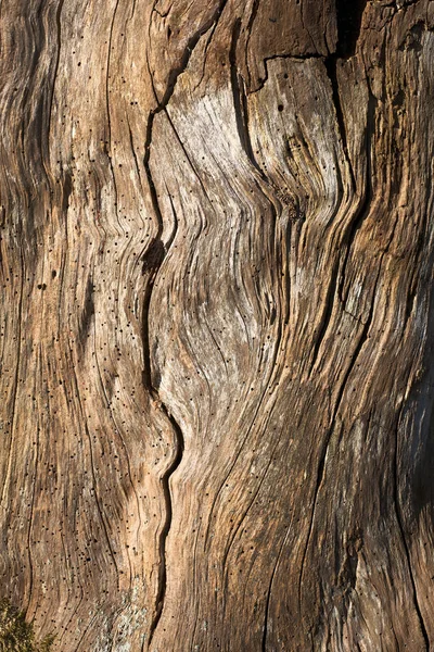 Staré Dřevo Textury Pozadí — Stock fotografie