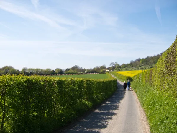 Una Pareja Paseando Perro Por Callejón Entre Thurnham Detling Kent — Foto de Stock