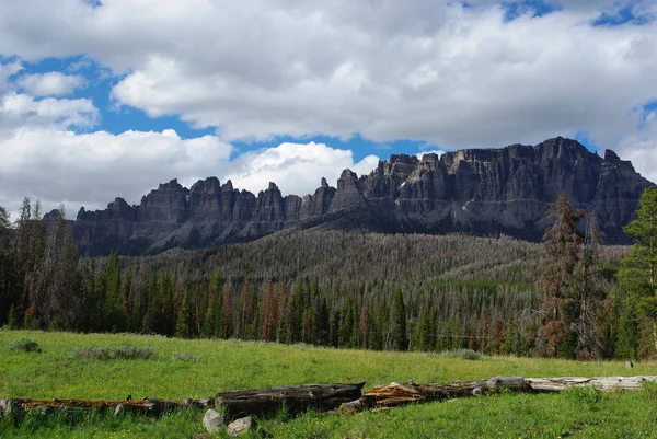 Troncos Secos Bosque Hermosas Montañas Teton Bridger Cerca Del Paso — Foto de Stock