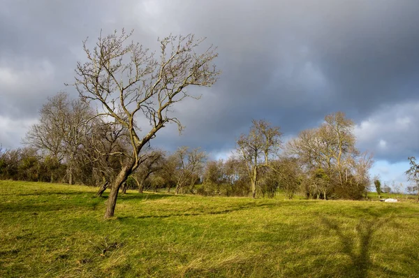 Britse Platteland Winter Costwolds Engeland Verenigd Koninkrijk — Stockfoto