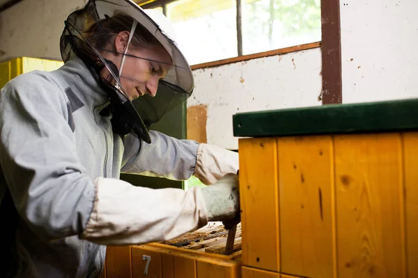 Beekeeper Work Honeycomb Honey Production — Stock Photo, Image