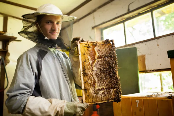 Beekeeper Work Honeycomb Honey Production — Stock Photo, Image