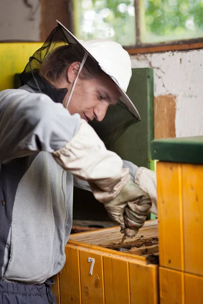 Beekeeper Work Honeycomb Honey Production — Stock Photo, Image