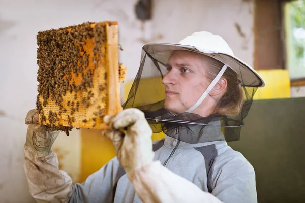 Beekeeper Work Honeycomb Honey Production — Stock Photo, Image