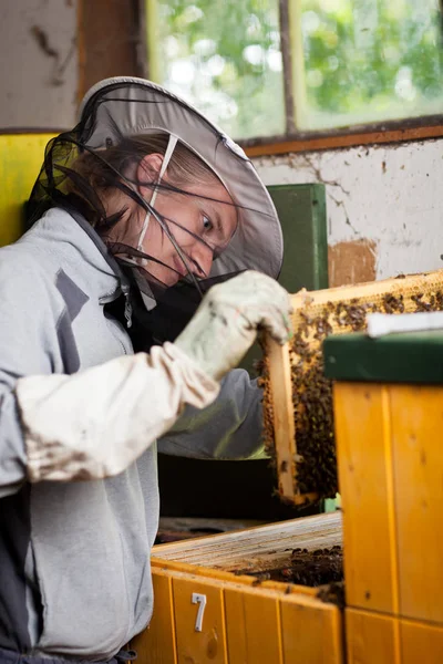 Beekeeper Work Honeycomb Honey Production — Stock Photo, Image